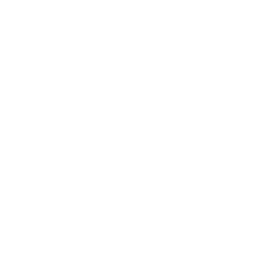 Aleph Africa - Développement d'applications mobiles au Niger
